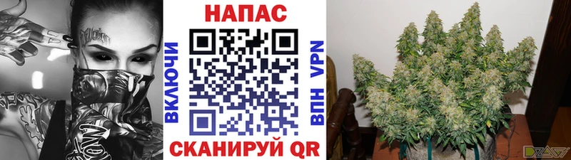 blacksprut маркетплейс  Челябинск  Бошки марихуана тримм 